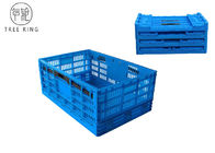 খাদ্য শিল্প, ফল এবং সবজি crates জন্য Foldable Collapsible প্লাস্টিক Crate